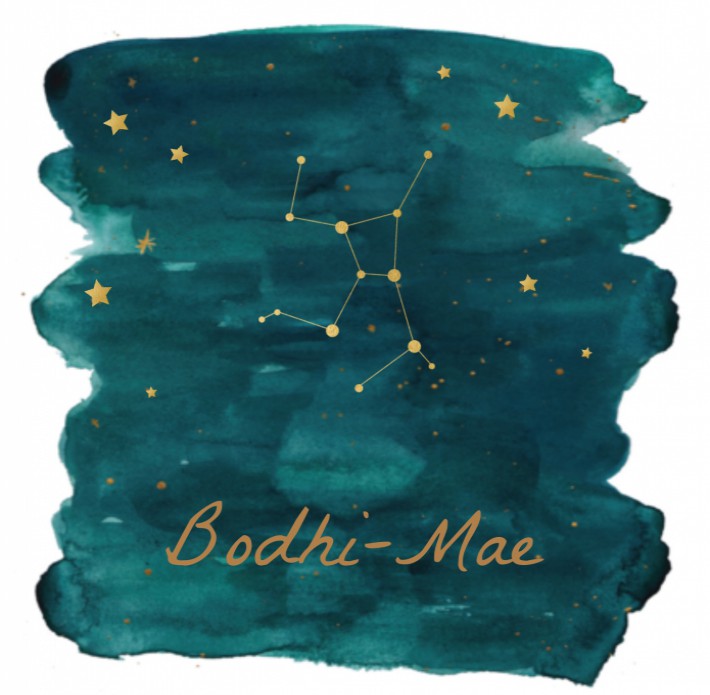 Geboortekaartje sterrenbeeld - Bodhi Mae