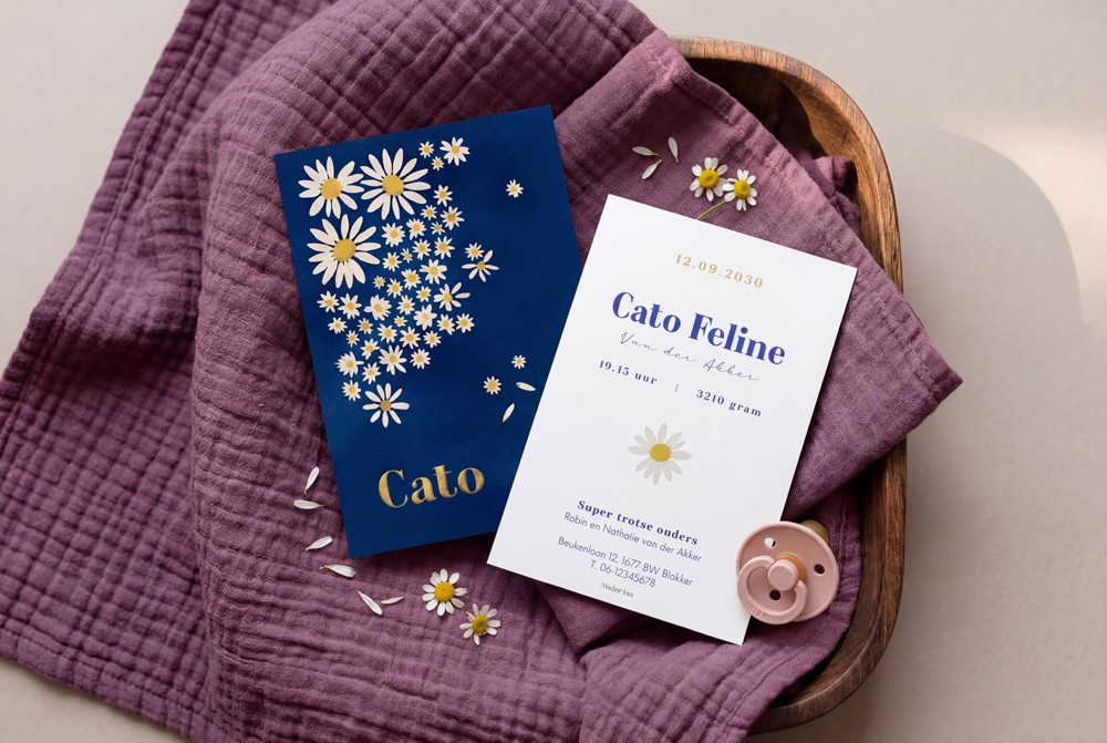 Geboortekaartje madeliefjes blauw – Cato